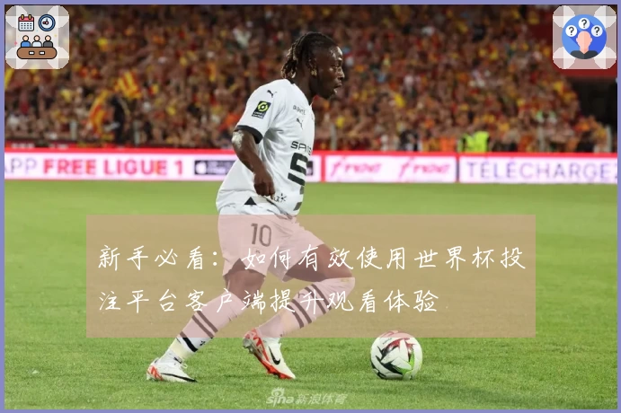 新手必看：如何有效使用世界杯投注平台客户端提升观看体验