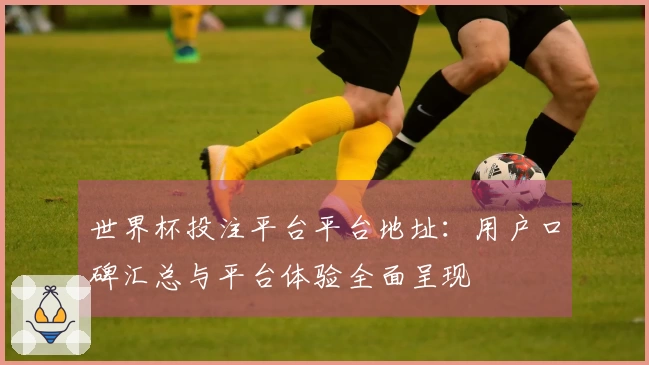 世界杯投注平台平台地址：用户口碑汇总与平台体验全面呈现
