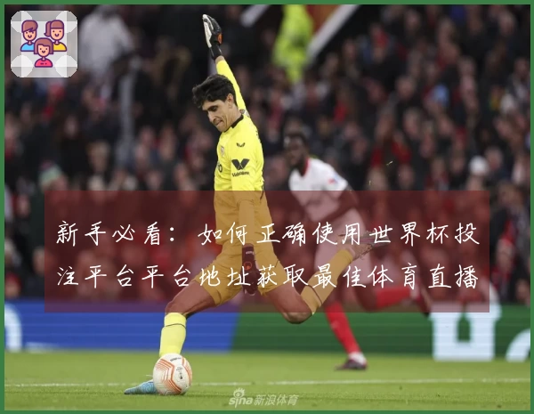 新手必看：如何正确使用世界杯投注平台平台地址获取最佳体育直播体验