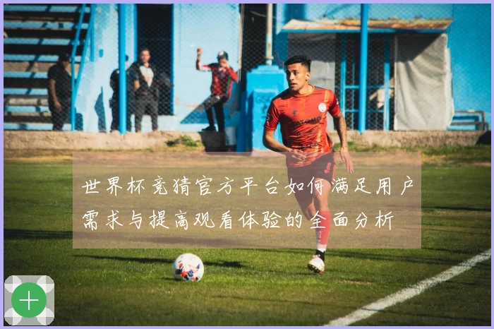 世界杯竞猜官方平台如何满足用户需求与提高观看体验的全面分析