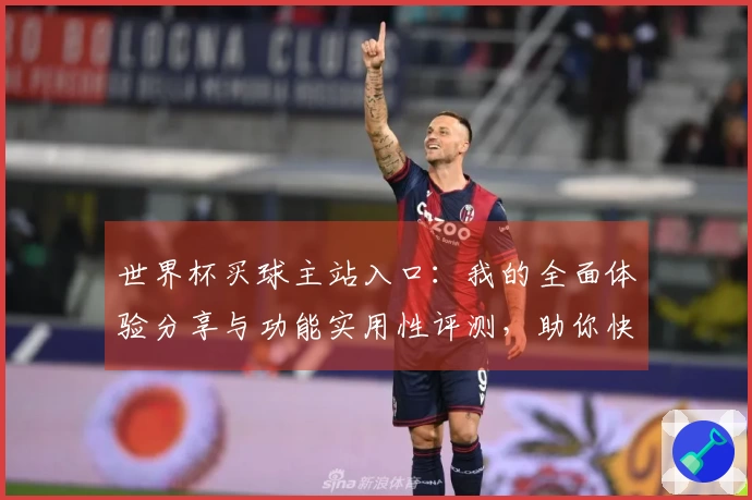世界杯买球主站入口：我的全面体验分享与功能实用性评测，助你快速上手