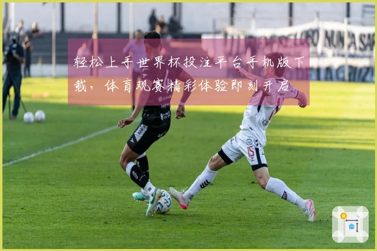 轻松上手世界杯投注平台手机版下载，体育观赛精彩体验即刻开启