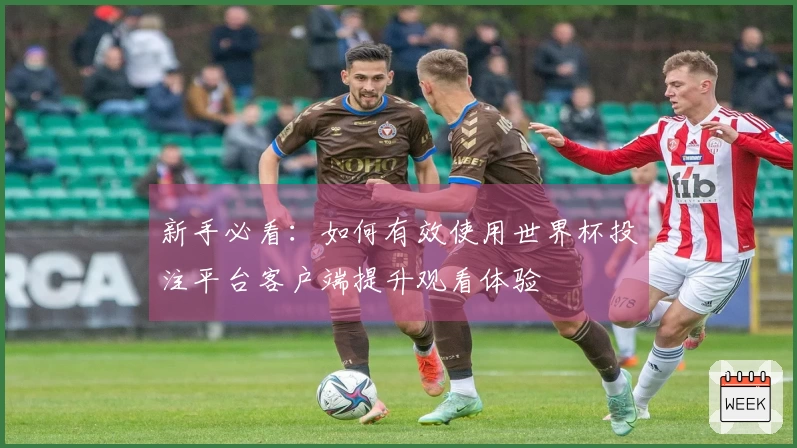 新手必看：如何有效使用世界杯投注平台客户端提升观看体验