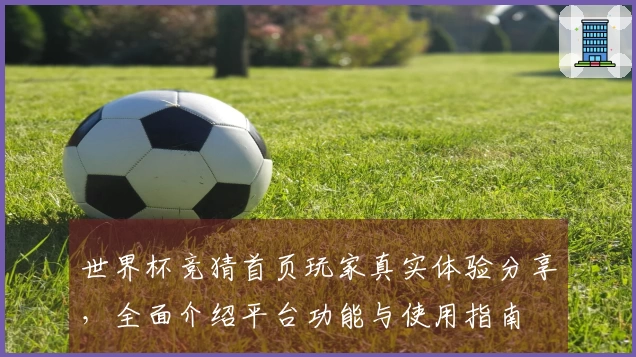 世界杯竞猜首页玩家真实体验分享，全面介绍平台功能与使用指南