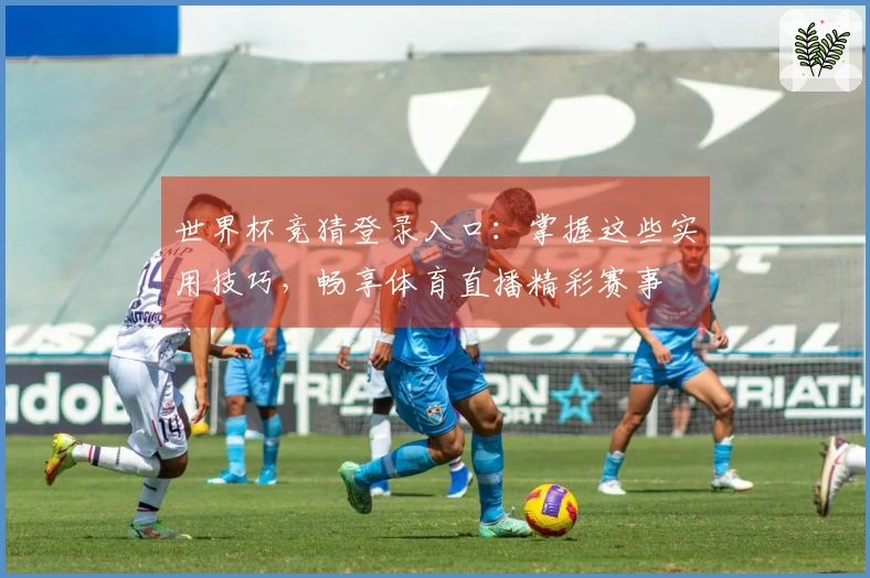 世界杯竞猜登录入口：掌握这些实用技巧，畅享体育直播精彩赛事